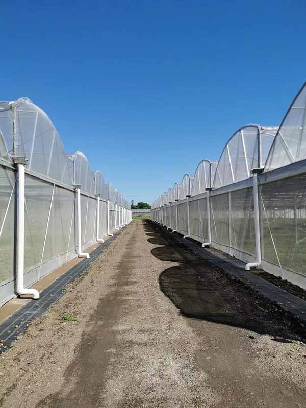 UV protection in high stability green house insect net