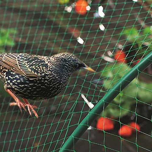 Bird Trapping Netting-2