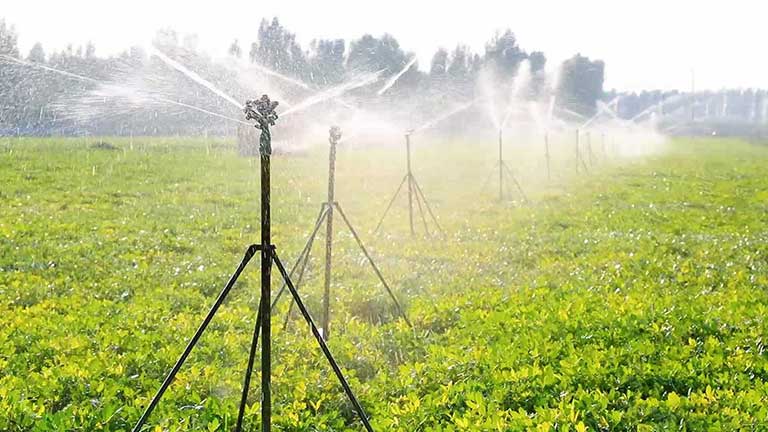 Agriculture & Garden Net Acheive Background Image