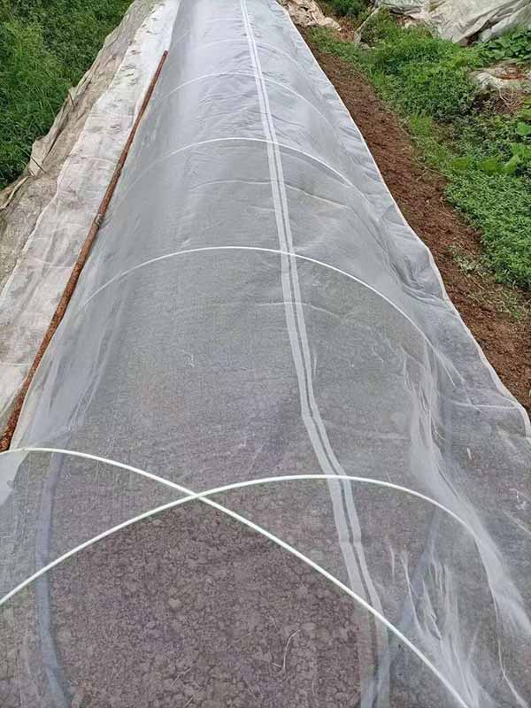 Butterfly Proof Netting for nethouse