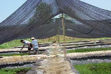 Agriculture Net Sun Shade Net