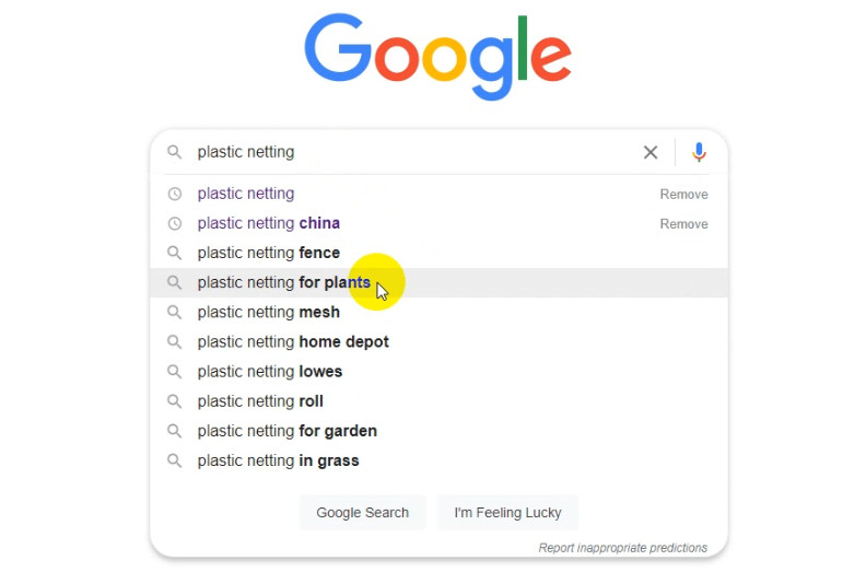 Google General Search