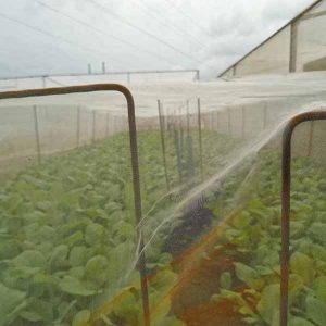 agriculture MONO plastic mosquito netting fabric with UV resistence