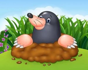 cartoonish moles animal