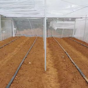 Top 5 important use of insect netting for garden