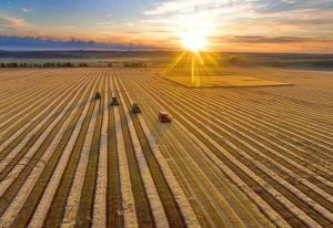 Irrigation and Drainage of Agricultural Land- Pnbos