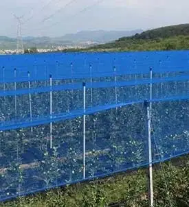 Agricultural-Bird-Protection-Solution