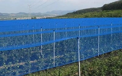 Agriculture Garden solutions