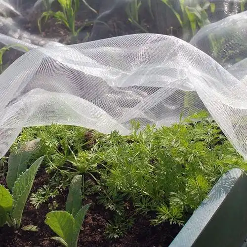 insect net mesh
